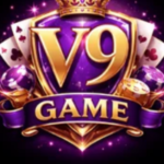 V9 Game