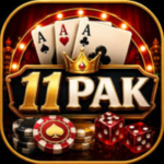 PK11 Game